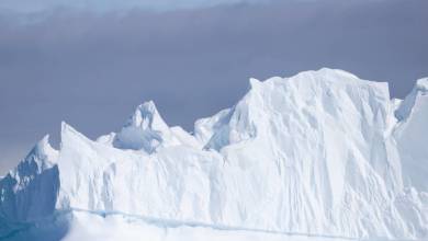Penguins of the Far South: Falklands, South Georgia & Antarctica