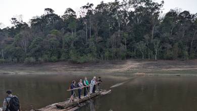 Highlights of Kerala