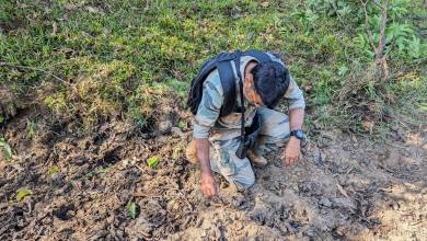 Highlights of Kerala