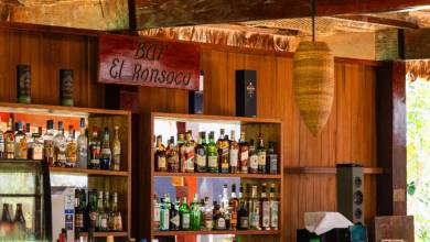 Premium Amazon Rainforest Add-on Tour (from Cuzco)