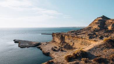 Valdés Peninsula Add-on Tour