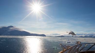 Antarctic Express: Sail South, Fly North via Buenos Aires