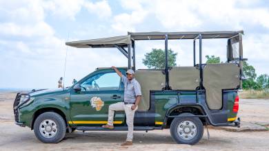 Essential Kruger Safari