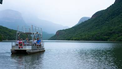 Essential Kruger Safari