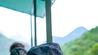 Essential Kruger Safari