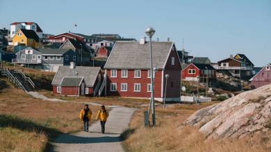 Greenland to Newfoundland: Mountains, Wildlife and Viking History