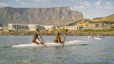 Highlights of South Africa’s Winelands