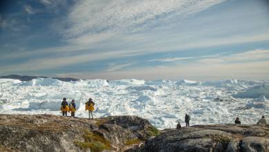 Greenland to Newfoundland: Mountains, Wildlife and Viking History
