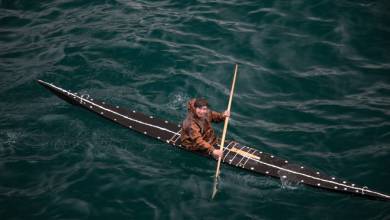 Greenland to Newfoundland: Mountains, Wildlife and Viking History