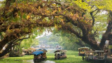 Highlights of Kerala