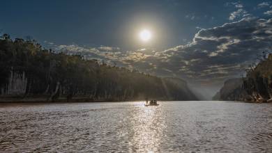 Madagascar Wildlife Adventure