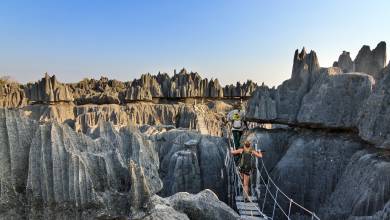 Madagascar Wildlife Adventure