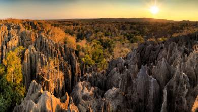 Madagascar Wildlife Adventure