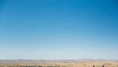 Madagascar Wildlife Adventure