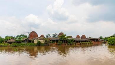 Mekong Delta Add-on Tour