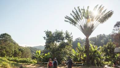 Madagascar Wildlife Adventure