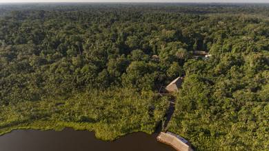 Sacha Lodge Add-on Tour