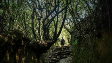 Hiking the Kathmandu Valley Add-on Tour
