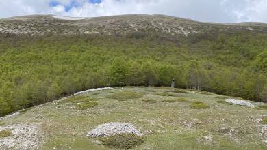 Italian Apennines: Walks & Wildlife