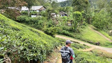 Hike Sri Lanka’s Pekoe Trail