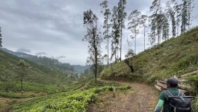 Hike Sri Lanka’s Pekoe Trail
