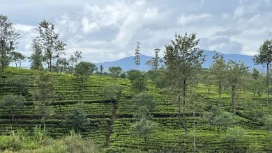 Hike Sri Lanka’s Pekoe Trail