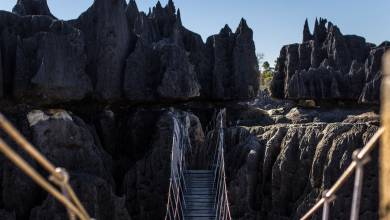 Madagascar Wildlife Adventure