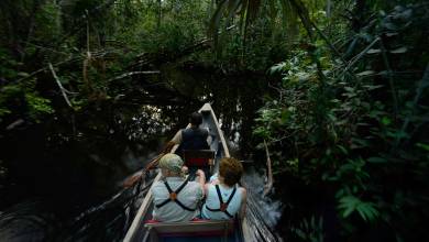 Sacha Lodge Add-on Tour