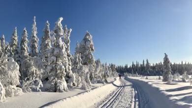 Cross-Country Skiing in Skåbu, Norway