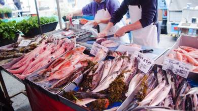 Discover Malta & Gozo