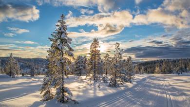 Cross-Country Skiing in Skåbu, Norway