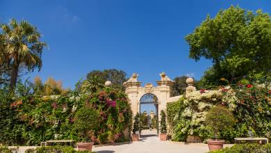 Discover Malta & Gozo