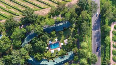 Essential Kruger Safari