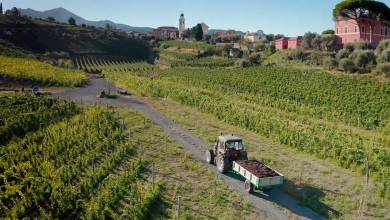 Walks & Food of the Italian Riviera