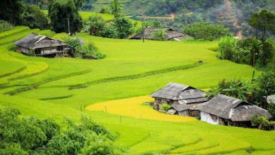 Hiking in Northern Vietnam