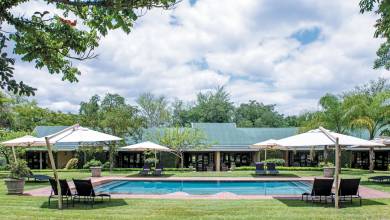 Essential Kruger Safari