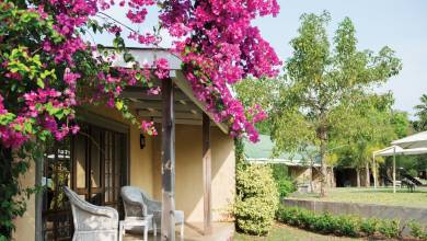 Essential Kruger Safari