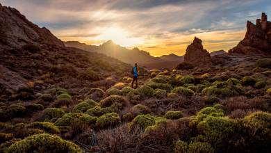Walking Tenerife and La Gomera