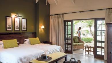 Essential Kruger Safari