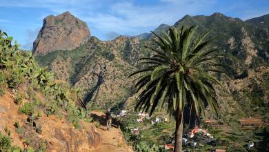 Walking Tenerife and La Gomera