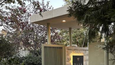 Signature Jordan | Stars and Desert Sands