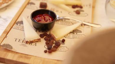 Signature Spain | Light Through Olive Groves