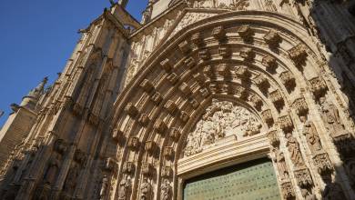 Signature Spain | Light Through Olive Groves