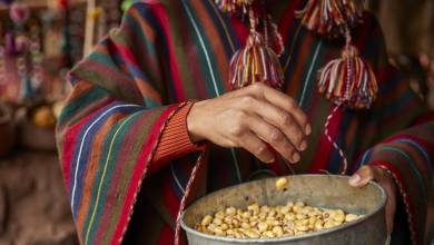 Signature Peru | Threads of the Andes