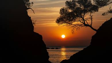 Signature Spain | Catalonia as a Canvas