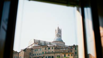 Signature Italy | Allure of Renaissance Tuscany