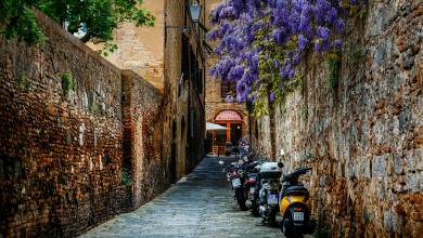 Signature Italy | Allure of Renaissance Tuscany