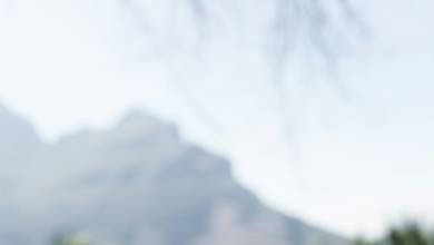 Cycling the Cape & Winelands