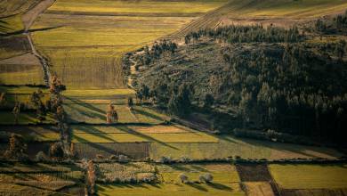 Signature Peru | Threads of the Andes