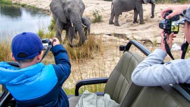 Essential Kruger Safari – Family Adventure